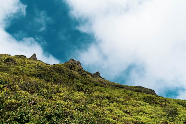 Trekking in Thekkady